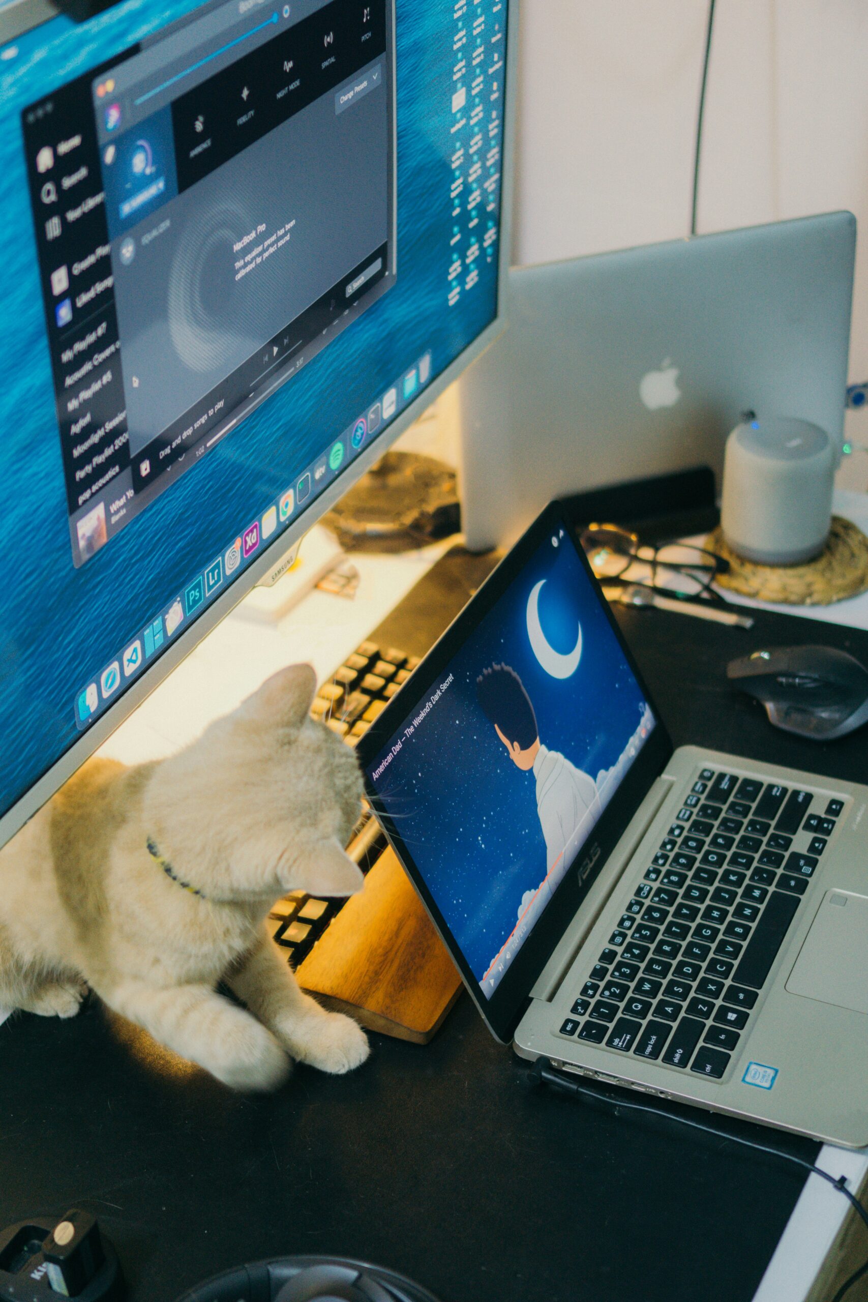 Windows laptop not sleeping at night on desk
